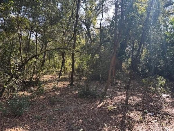 0 County Rd 54, Kathleen, FL 33849