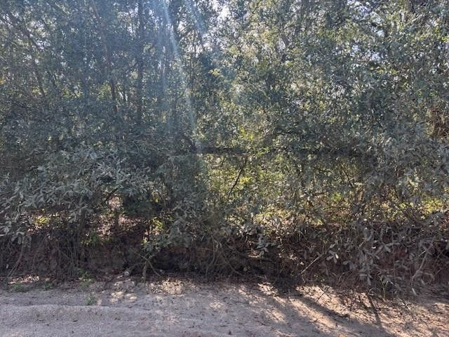 0 County Rd 54, Kathleen, FL 33849 Photo