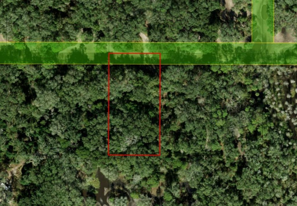 0 County Rd 54, Kathleen, FL 33849 Photo