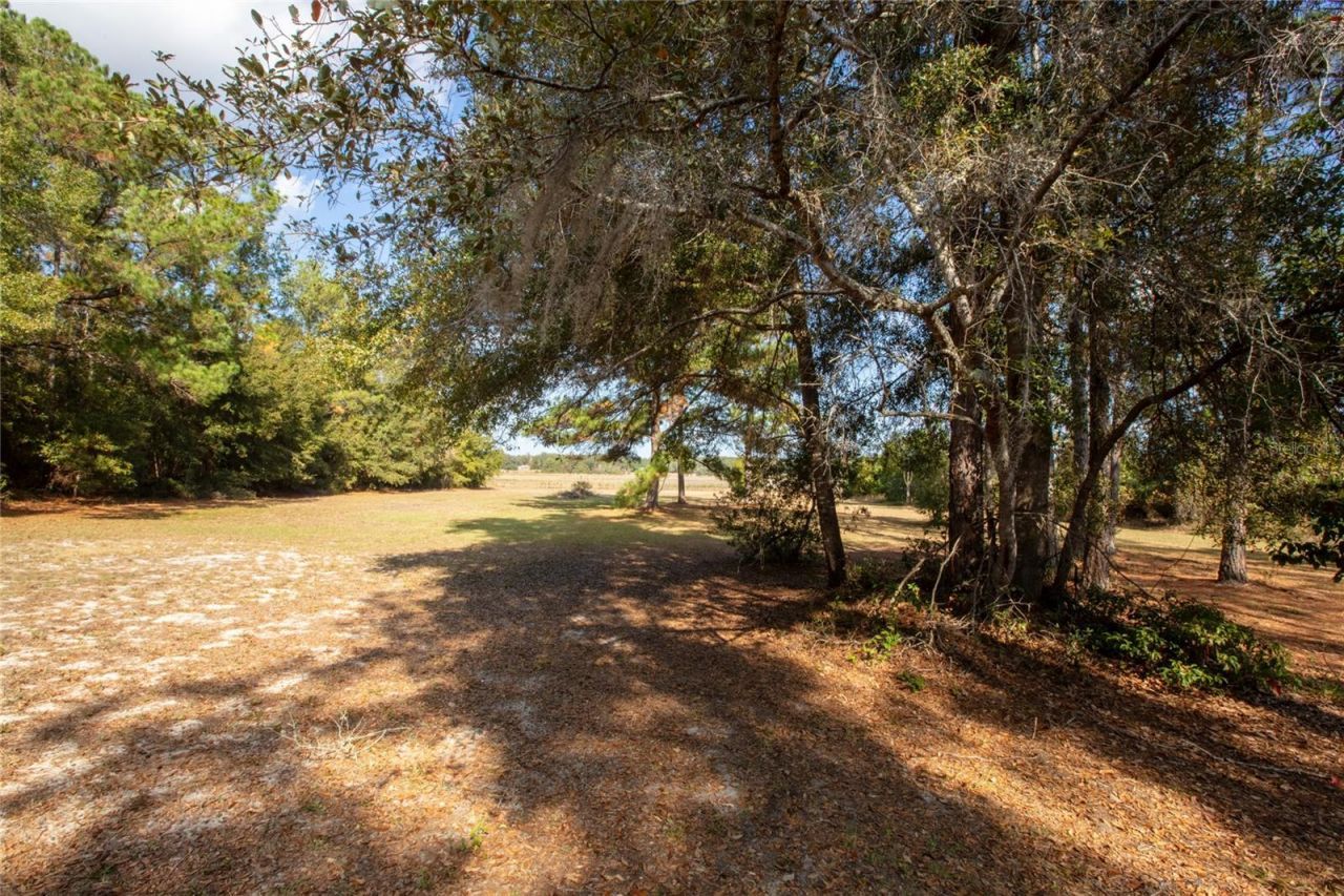 730 State Road 26, Melrose, FL 32666 Photo