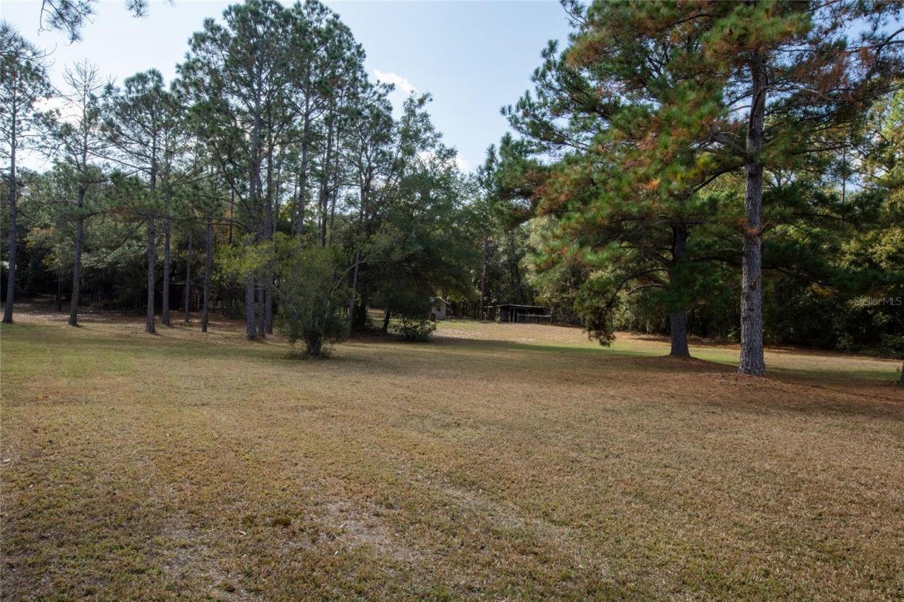730 State Road 26, Melrose, FL 32666 Photo