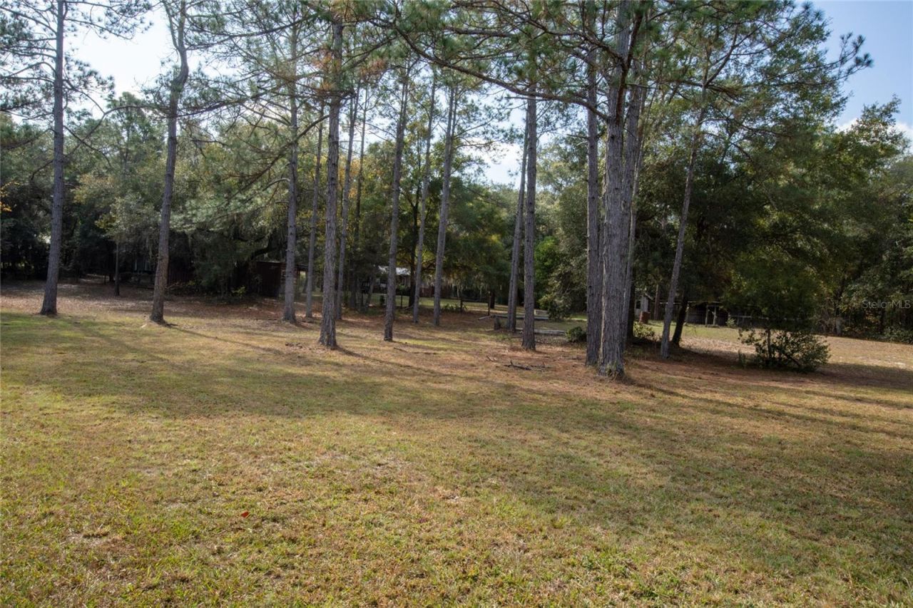 730 State Road 26, Melrose, FL 32666 Photo