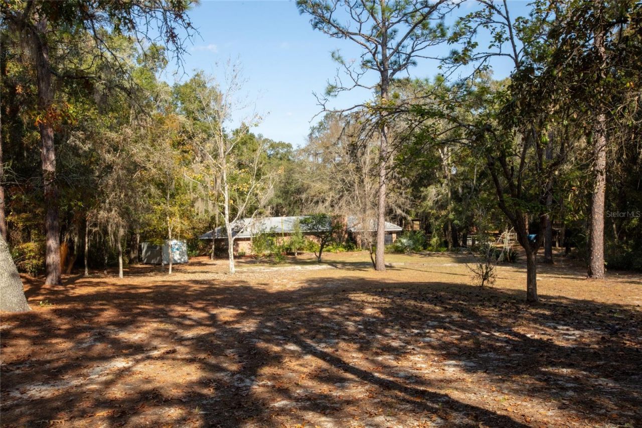 730 State Road 26, Melrose, FL 32666 Photo