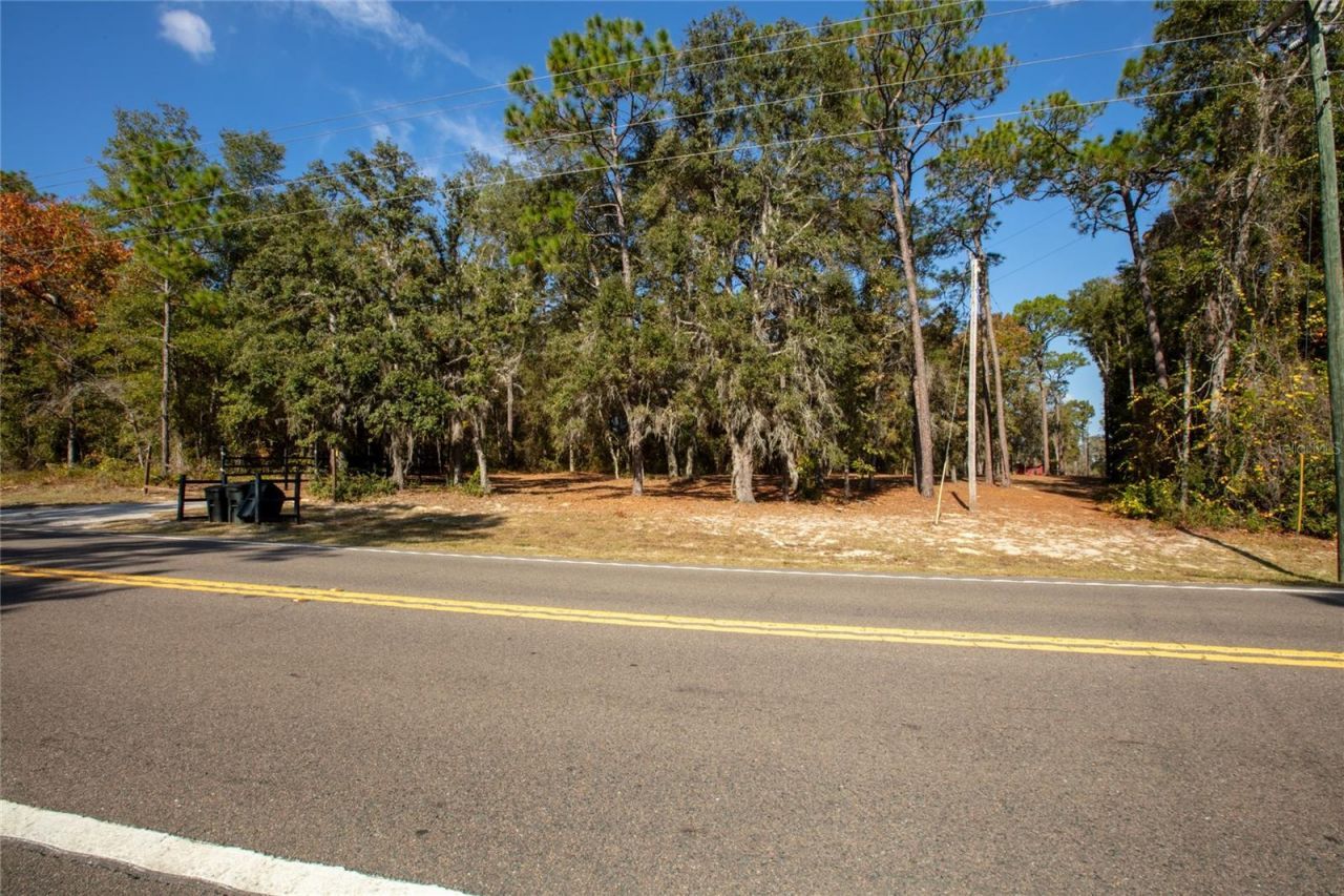 730 State Road 26, Melrose, FL 32666 Photo