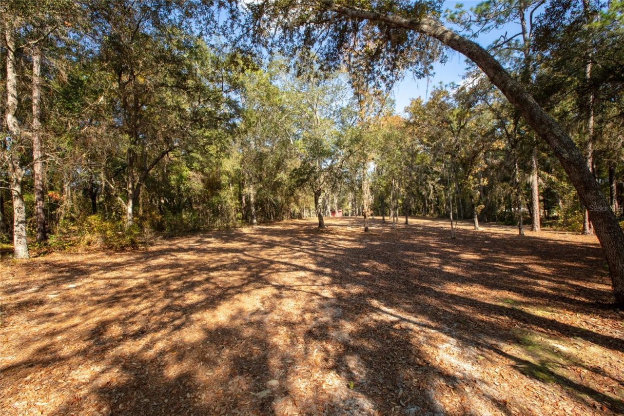 730 State Road 26, Melrose, FL 32666 Photo