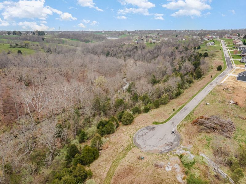 4 Acres Saddlebrook Lane, Dry Ridge, KY 41035 Photo 3