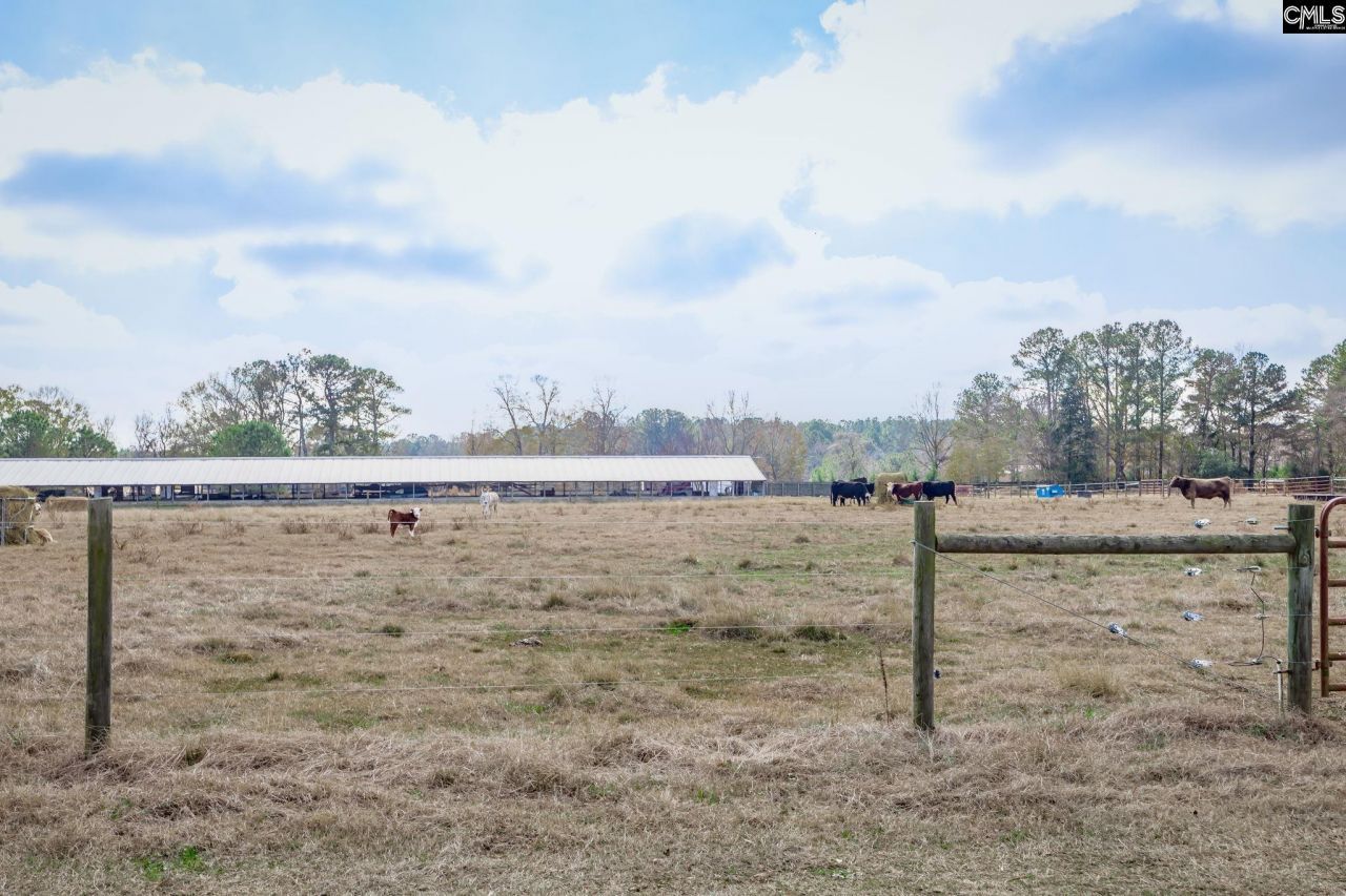 316 Daniel Padgett Road Photo 59