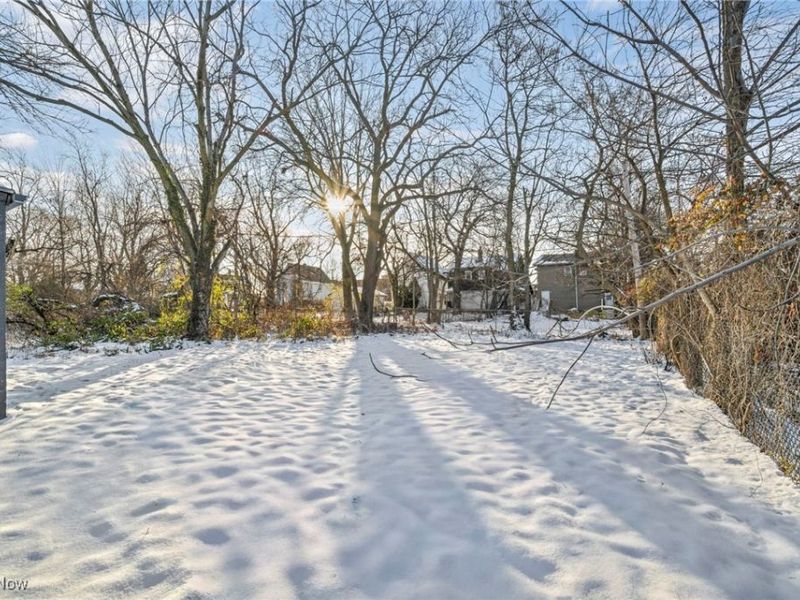 14208 Jenne Avenue, Cleveland, OH 44110 Photo 7