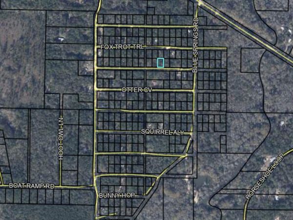 Lot 157 Possum Trott, Bonifay, FL 32425