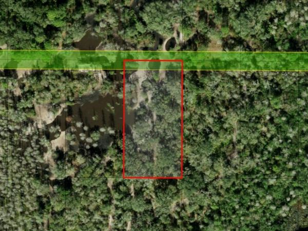 0 County RD 54 E, Kathleen, FL 33849