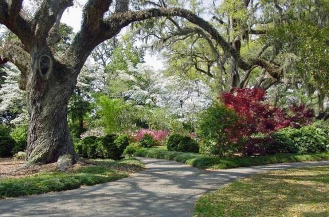 512 Chanted Dr. Photo 47