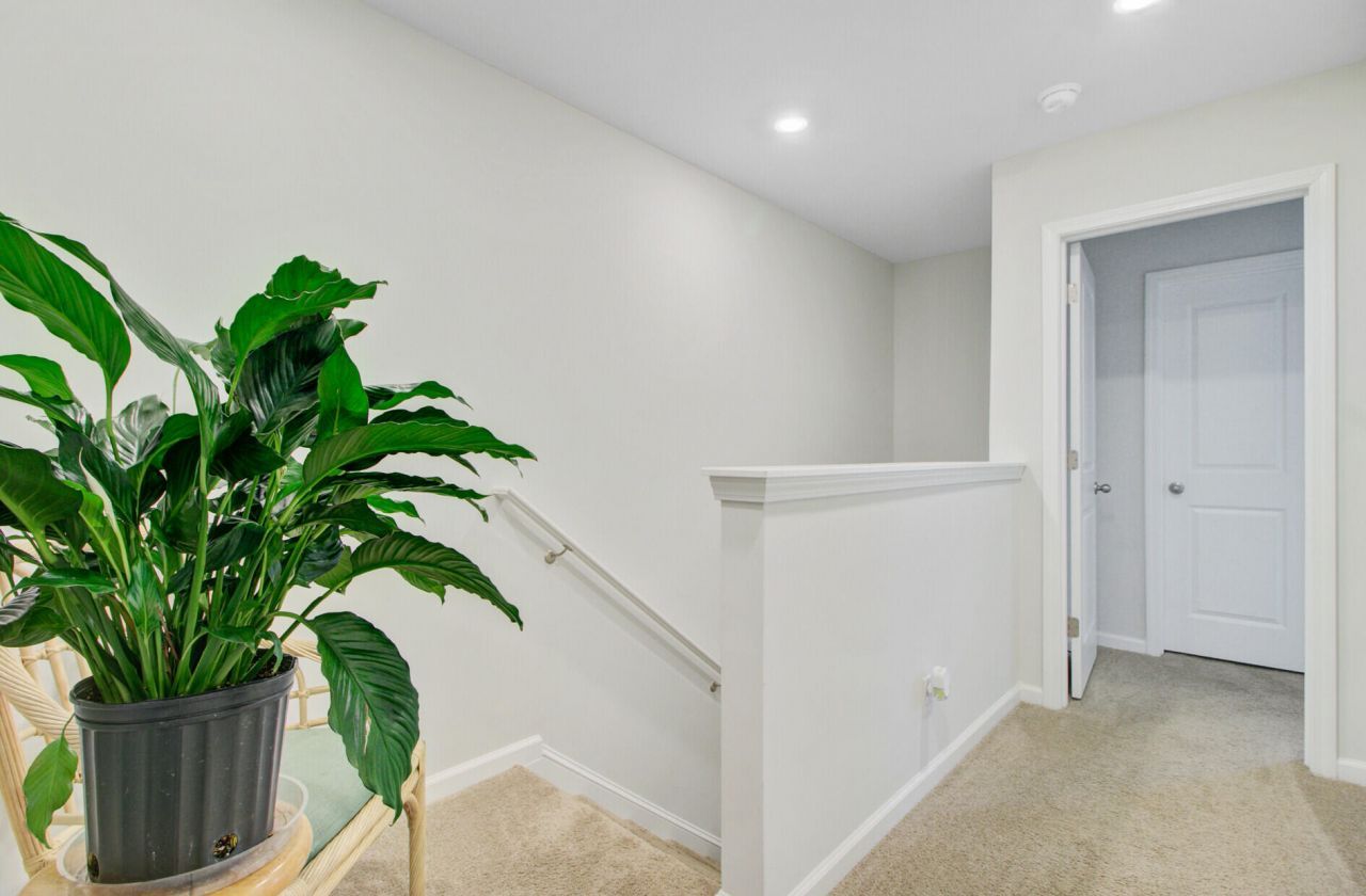 245 Blue Haw Drive Photo 17