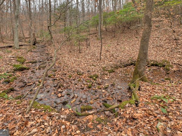 0 Spruill Drive, Ellijay, GA 30536