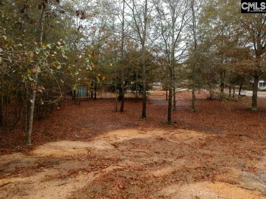 213 Pineview Drive Photo 13