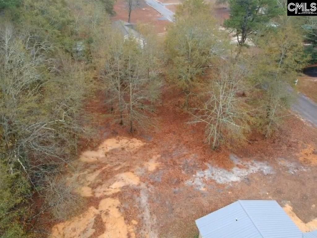 213 Pineview Drive Photo 18