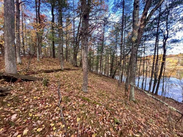 COUNTY P ROAD, Pound, WI 54161