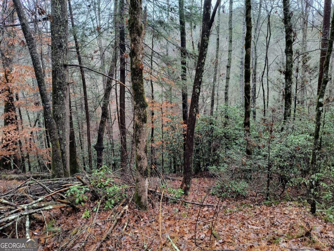 Lot 39 Kells Ridge Drive, Lot #39, East Ellijay, GA 30540 Main Photo