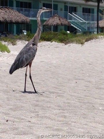 513 Gunwale Lane, Longboat Key, FL 34228 Photo