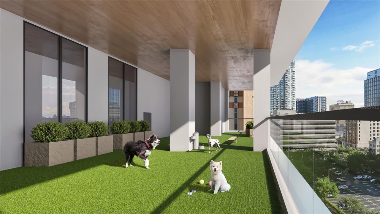 520 N Tampa St, Unit 4201, Tampa, FL 33602 Photo