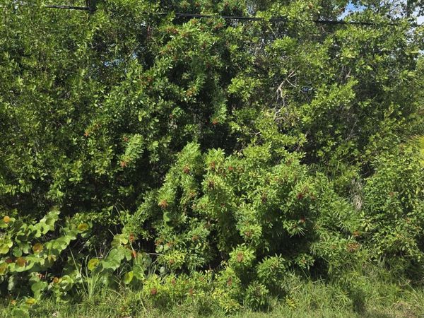 Lot 6 Date Palm Drive, Sugarloaf, FL 33042