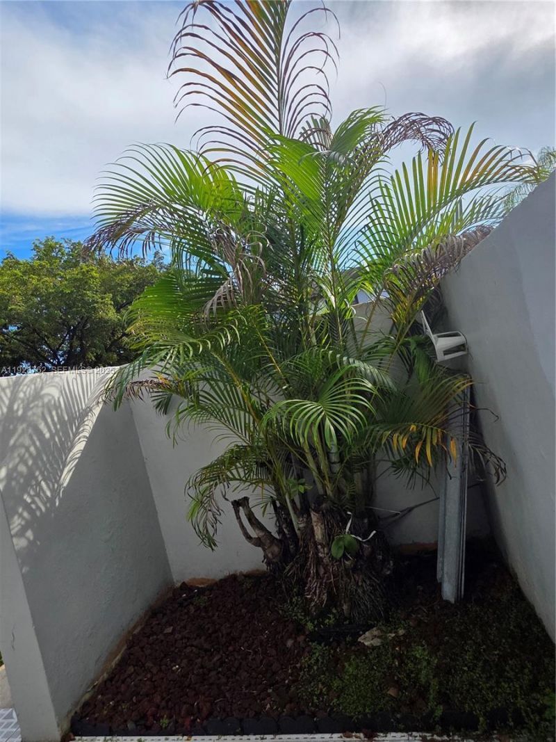 8000 SW 152nd Ave, Unit 115, Miami, FL 33193 Photo