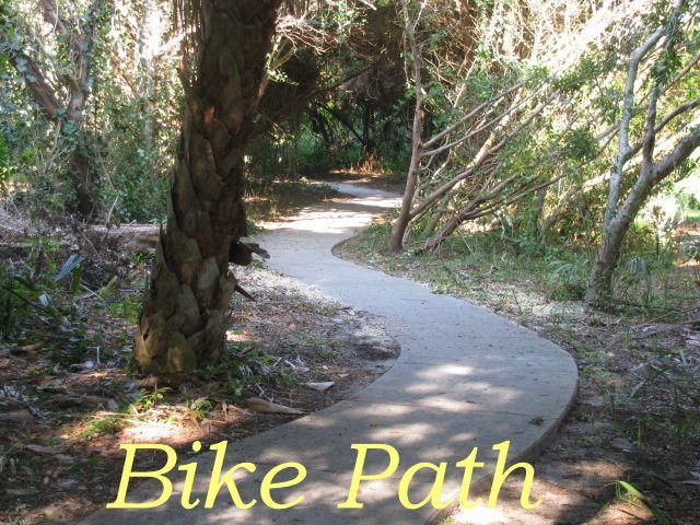 713 Sandpiper Ridge Road Photo 15