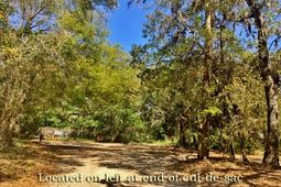713 Sandpiper Ridge Road photo 4