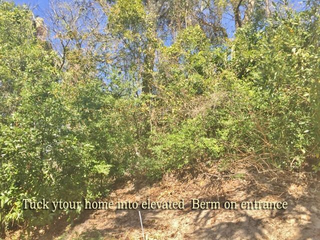 713 Sandpiper Ridge Road Photo 5