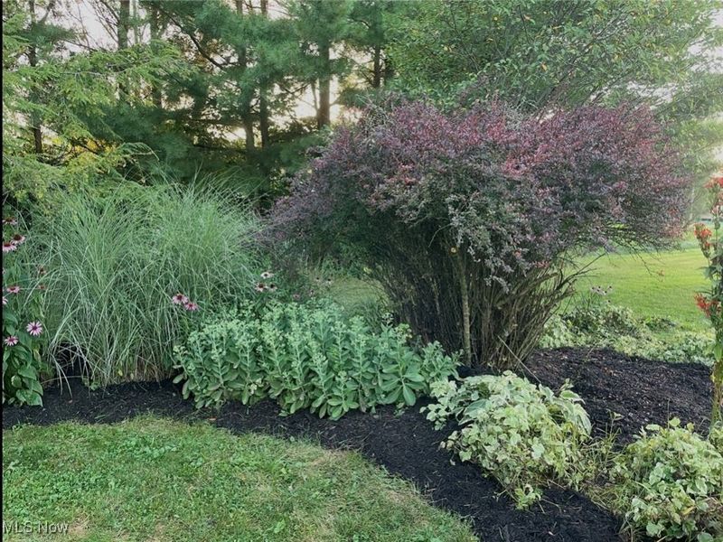 7646 Spencer Lake Road, Medina, OH 44256 Photo 39