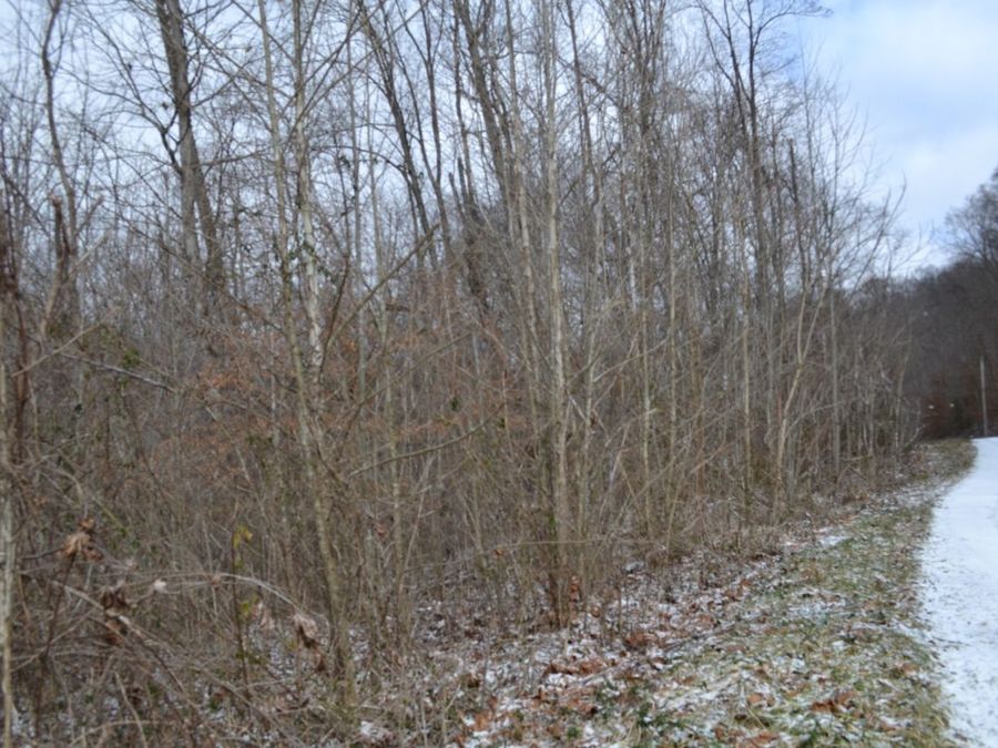 Property Image 16