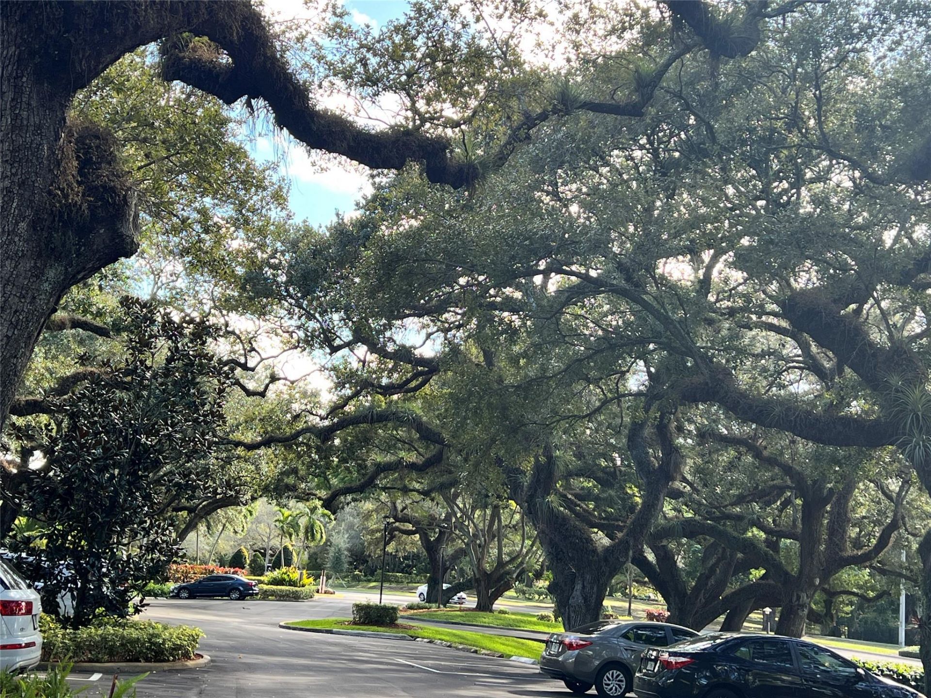 9101 SW 19th Place, Unit B, Davie, FL 33324 Photo