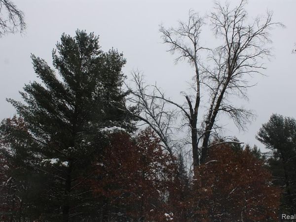 VL Good , Mills Twp, MI 48610