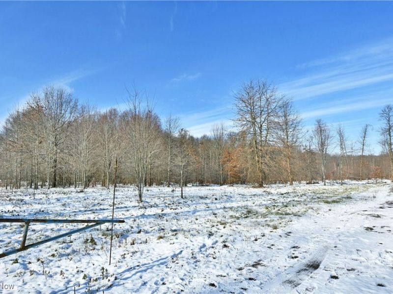 N Bailey Road, North Jackson, OH 44451 Photo 20