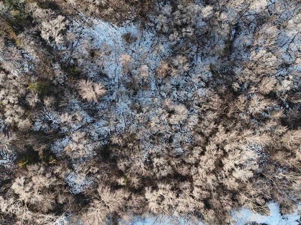 1125 1/2 Irene St, Sioux City, IA 51106