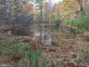 7 COMMUNITY POND DRIVE, CATAWISSA, PA 17820