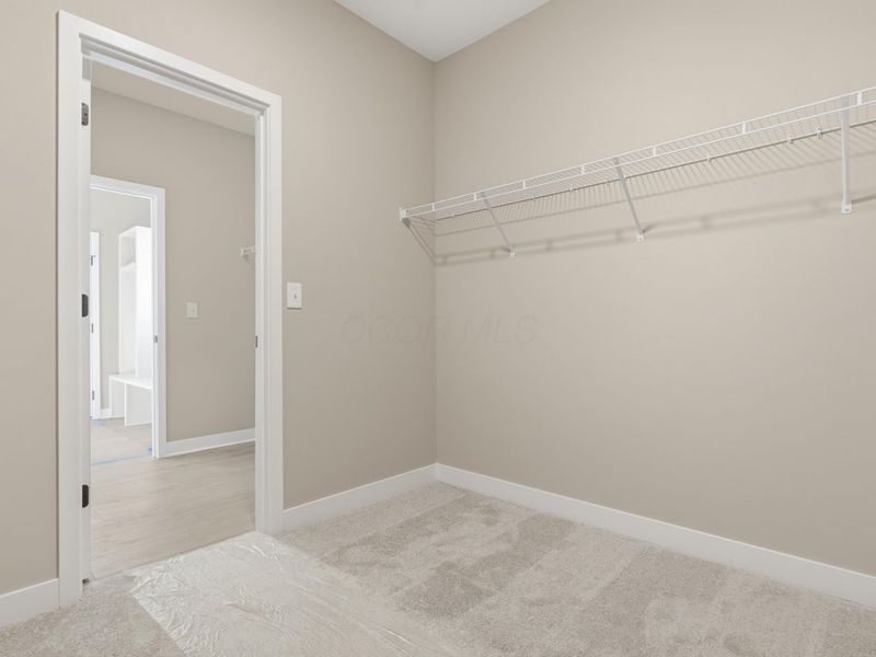 4541 Corsican Loop E, Hilliard, OH 43026 Photo 29