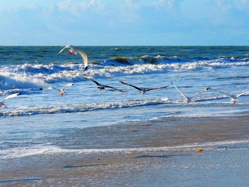 1811 S Indian River Drive, Fort Pierce, FL 34950 Photo