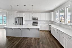 1016 Swamp Harrier Avenue photo 4