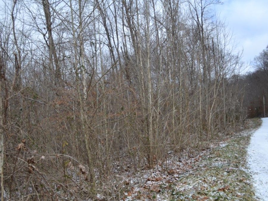 Property Image 16