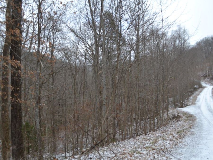 Property Image 9