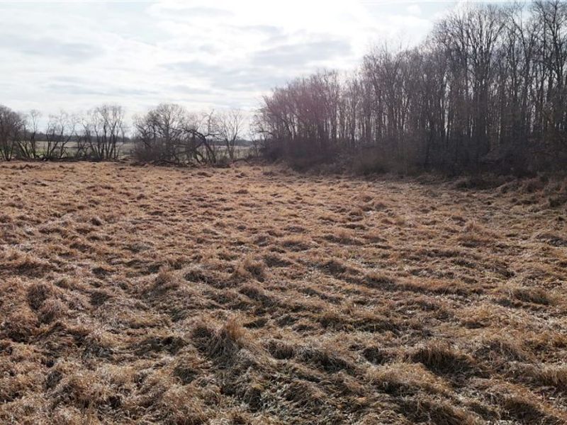 Jones Road, Wellington, OH 44090 Photo 10