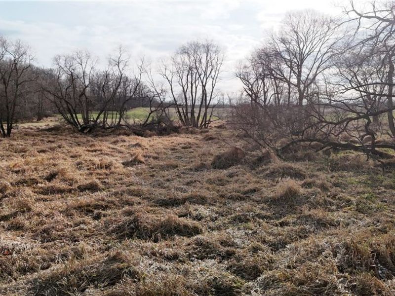 Jones Road, Wellington, OH 44090 Photo 11