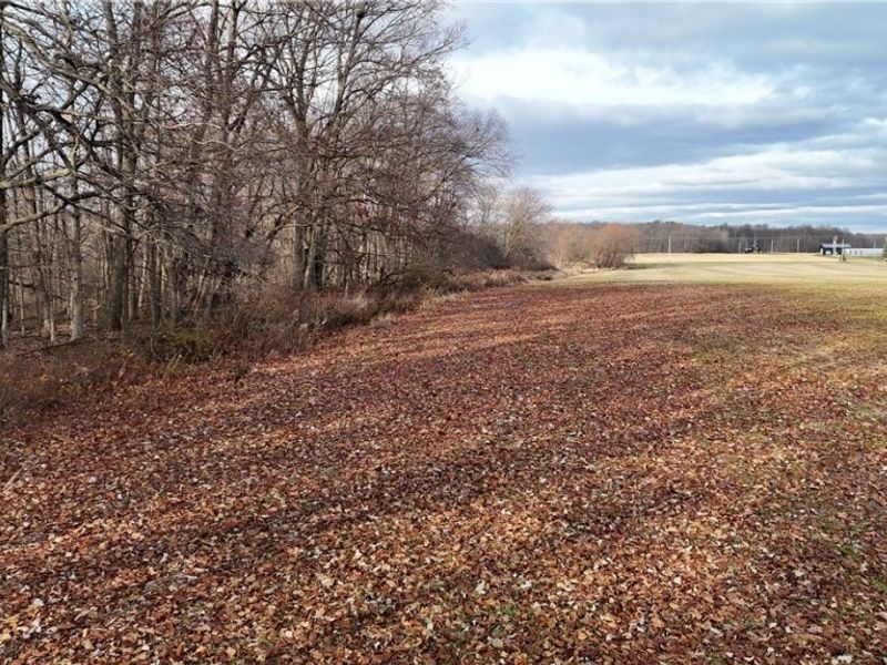 Jones Road, Wellington, OH 44090 Photo 12