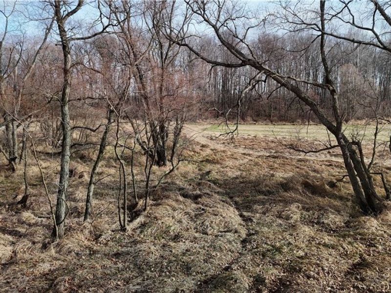 Jones Road, Wellington, OH 44090 Photo 13