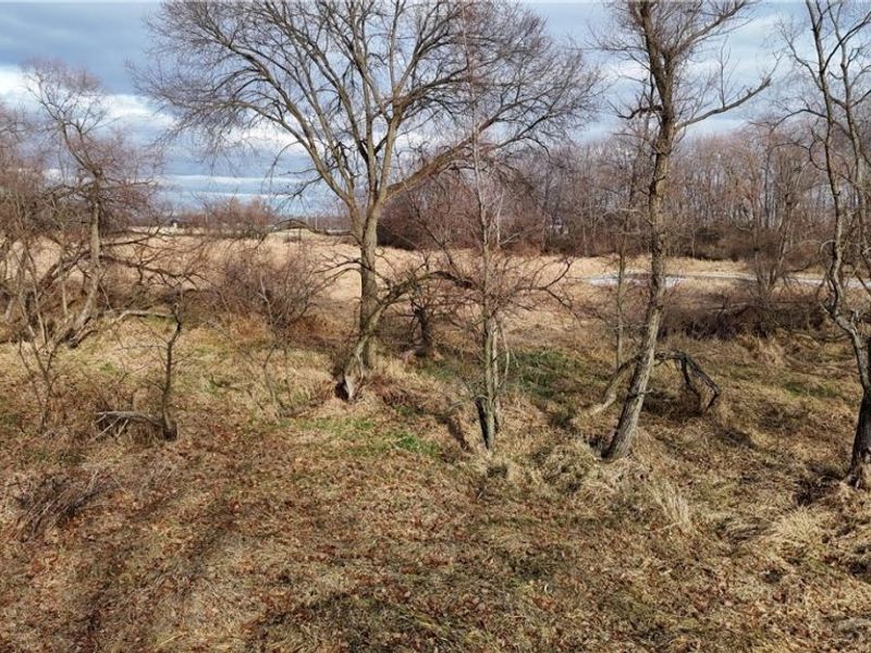 Jones Road, Wellington, OH 44090 Photo 14