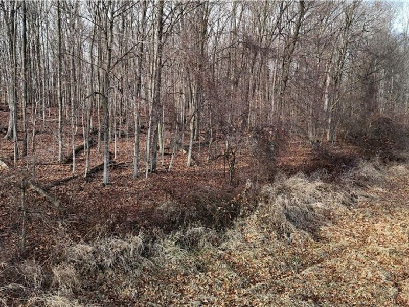 Jones Road, Wellington, OH 44090 Photo 15