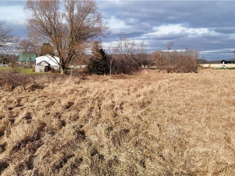 Jones Road, Wellington, OH 44090 Photo 18