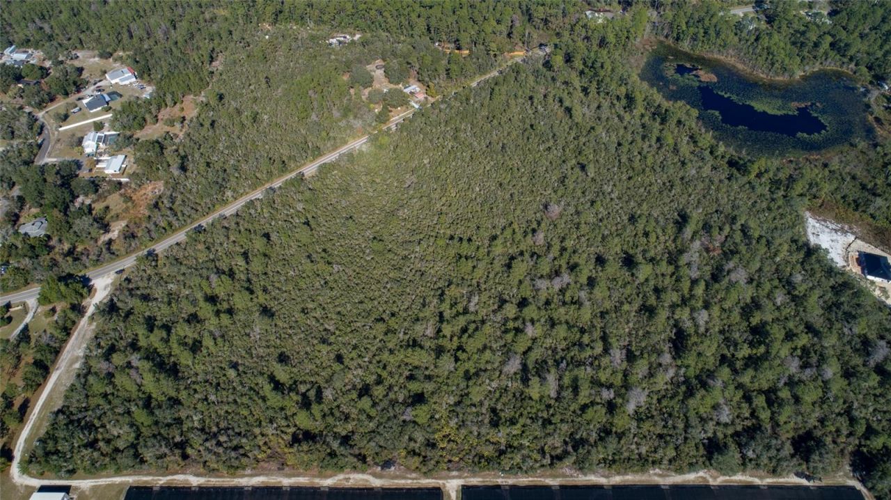 0000 Reynolds Road, De Leon Springs, FL 32130 Photo