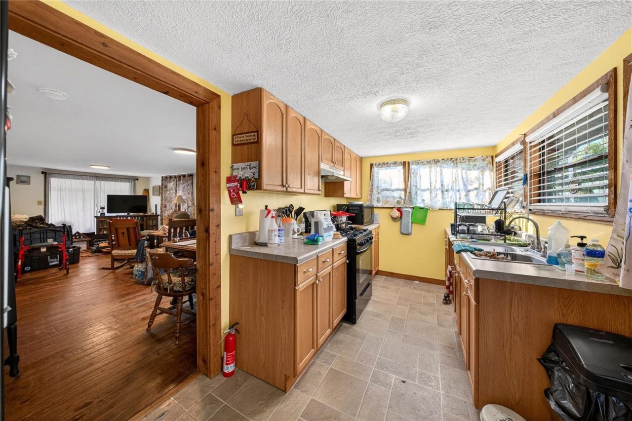 15321 NE 160th Avenue Road, Salt Springs, FL 32134 Photo