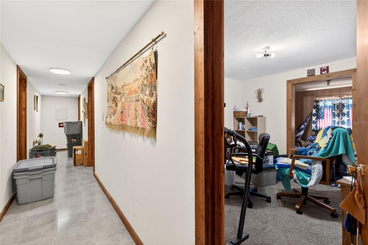 15321 NE 160th Avenue Road, Salt Springs, FL 32134 Photo